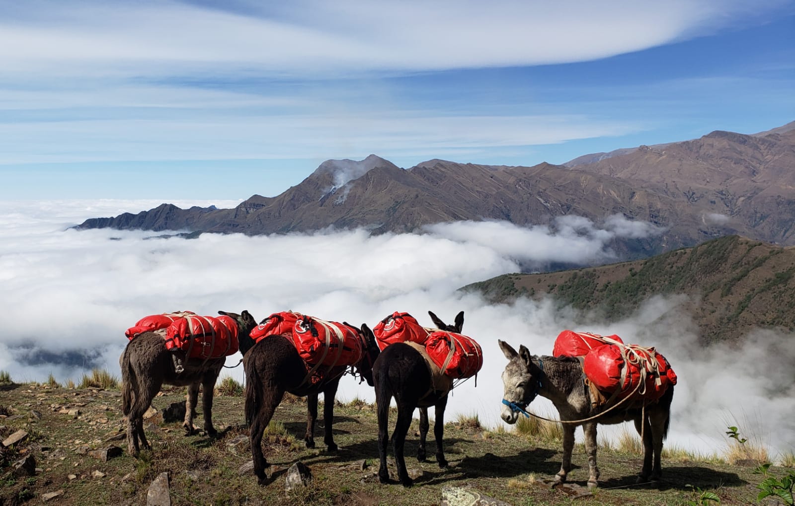 Cabalgata y trekking por la Cordillera