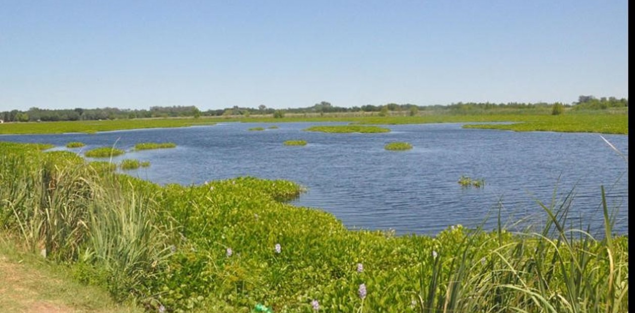 lagunas bonaerenses que enamoran